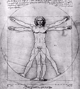 cuerpo