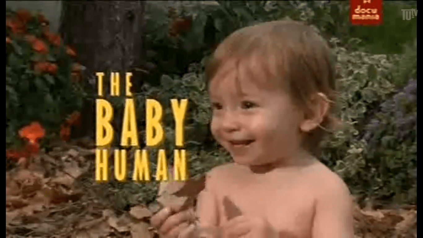 Baby human