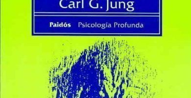 libro de Jung sobre psicosis