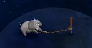 Elefante cuento reflexión
