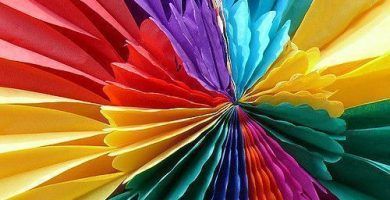 Transexual identidad sexual